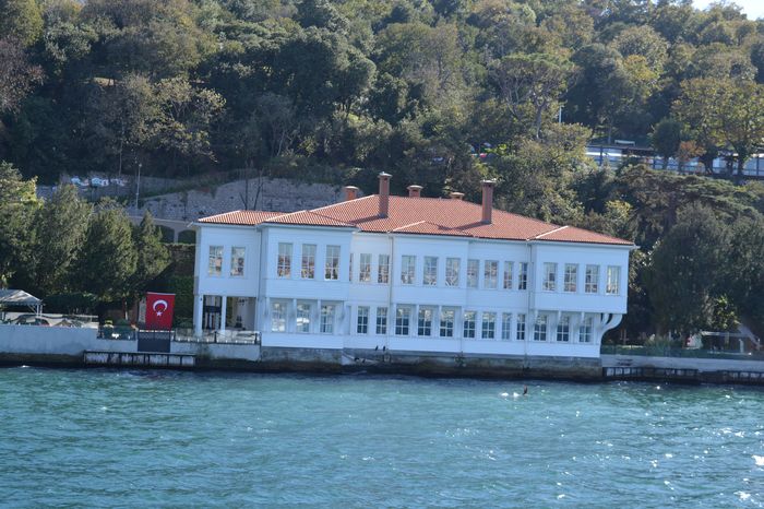 Everybody pitied them no less than the sufferers