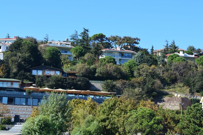 Different results with different patients