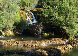 Cantacuzene’s Clear Distinction Between the Two Harbours